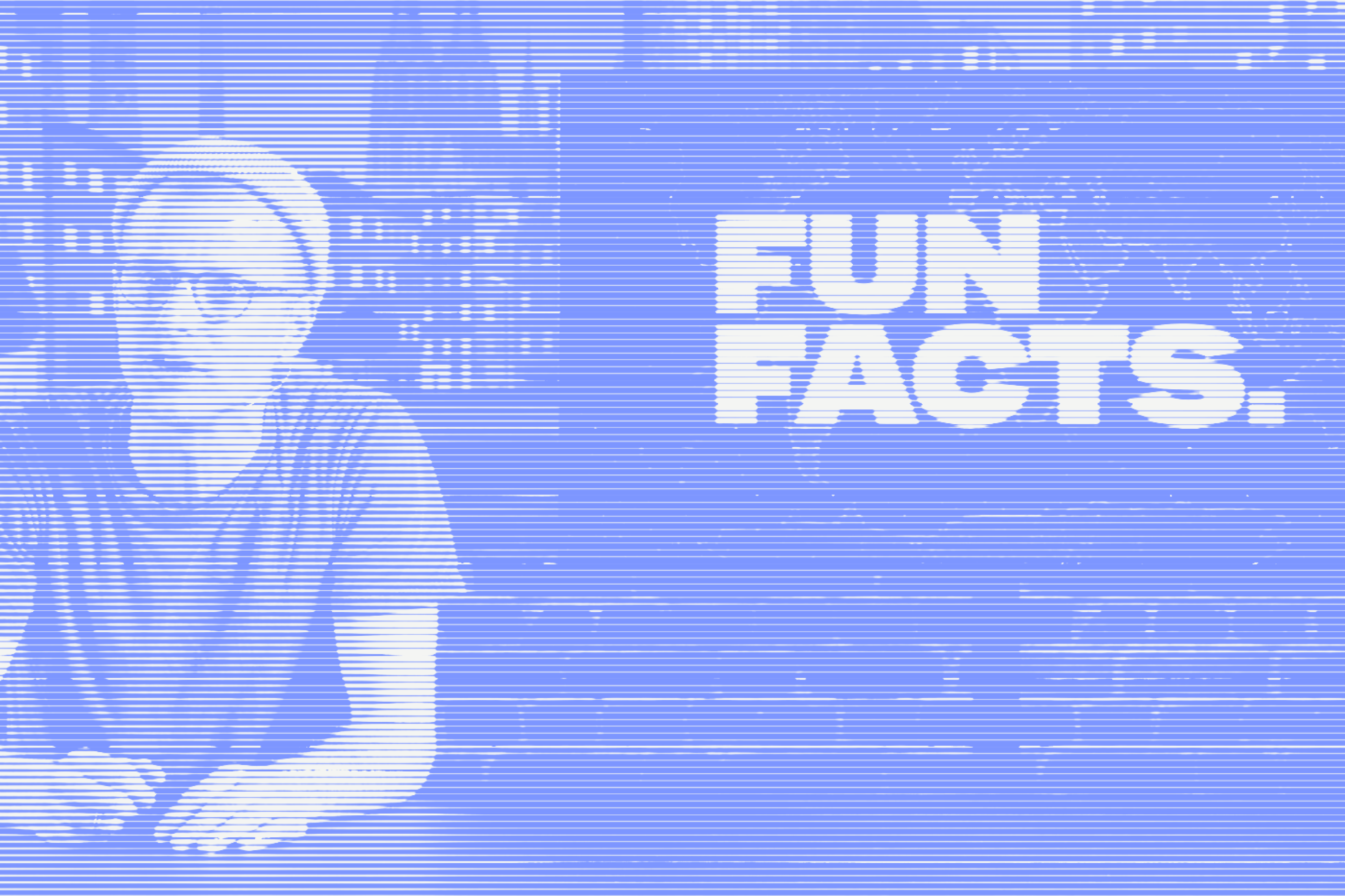Funfacts Funfacts